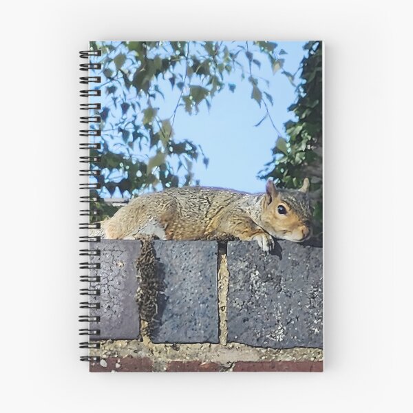 Item preview, Cute Squirrel on Stone Wall Nature Photography designed and sold by Deep Descent.