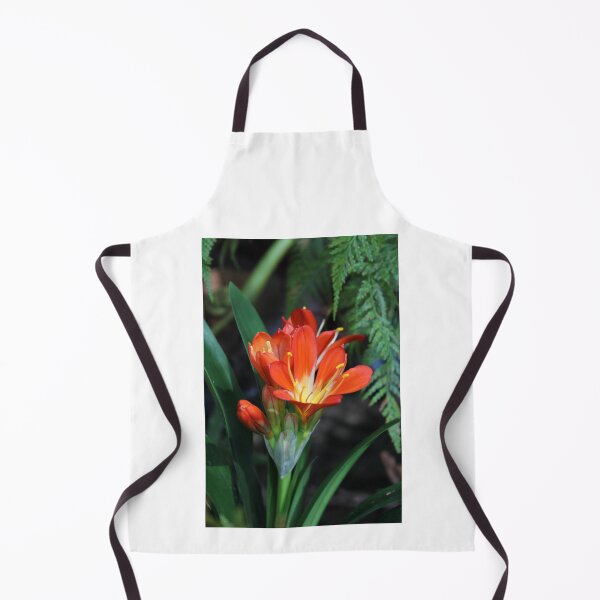 Item preview, Vibrant Orange Clivia Miniata Lily Bloom designed and sold by 27Tammy27.
