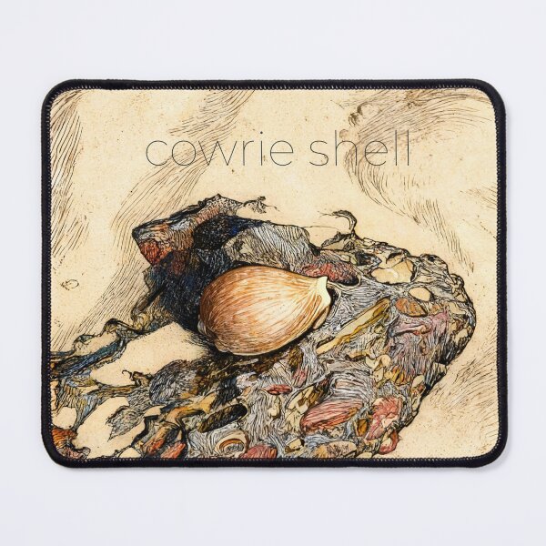 Item preview, Broome time cowrie shell designed and sold by WildLadyWood.