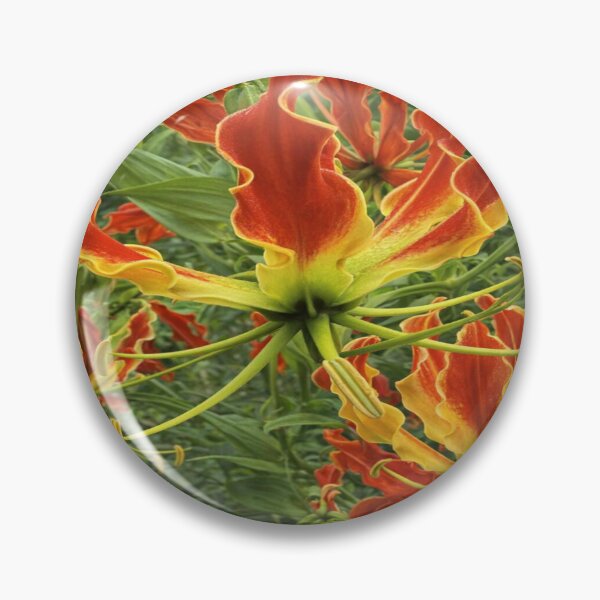 Item preview, African Flame Lily designed and sold by HeritageGlow.