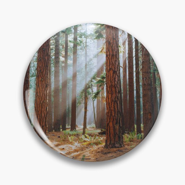 Item preview, Sunbeams in the Pine Forest designed and sold by Gabe1983.