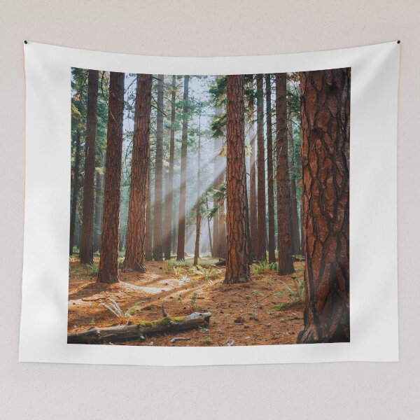 Item preview, Sunbeams in the Pine Forest designed and sold by Gabe1983.