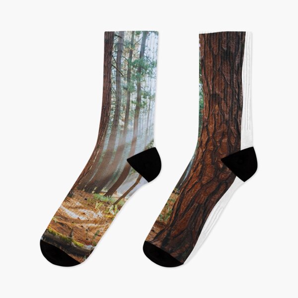 Item preview, Sunbeams in the Pine Forest designed and sold by Gabe1983.