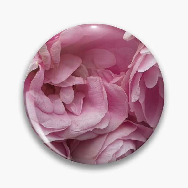 Item preview, Pink roses designed and sold by rheyes.