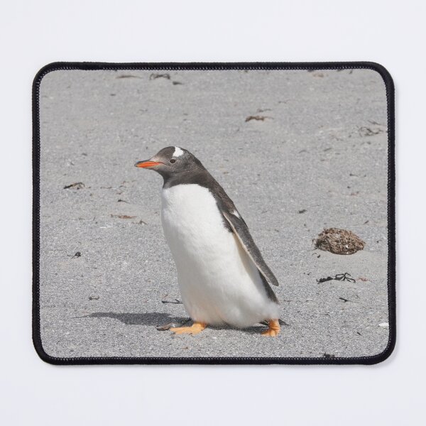 Item preview, Gentoo Penguin designed and sold by Malcolm Snook.