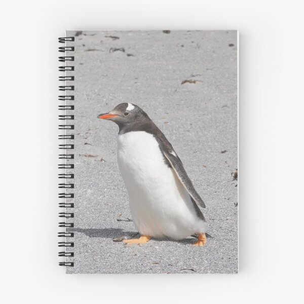 Item preview, Gentoo Penguin designed and sold by Malcolm Snook.
