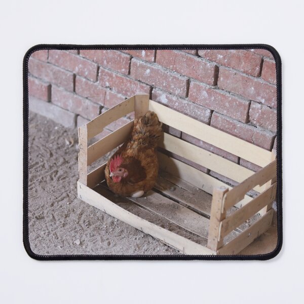 Item preview, Country hen lays her eggs in a wooden cage and looks at the camera designed and sold by zuhairiphotos.