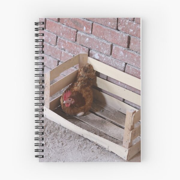Item preview, Country hen lays her eggs in a wooden cage and looks at the camera designed and sold by zuhairiphotos.