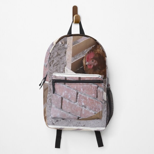 Item preview, Country hen lays her eggs in a wooden cage and looks at the camera designed and sold by zuhairiphotos.