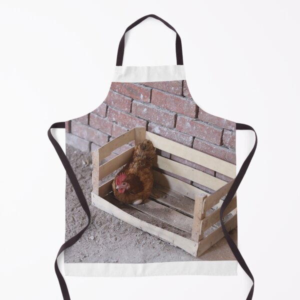 Item preview, Country hen lays her eggs in a wooden cage and looks at the camera designed and sold by zuhairiphotos.