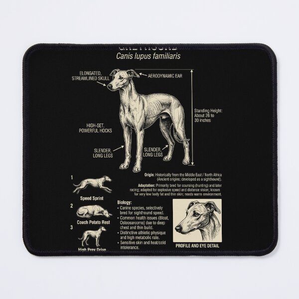 Item preview, Greyhound Scientific Anatomy Biology Dog Lover designed and sold by Kimberley King Art  King Art.
