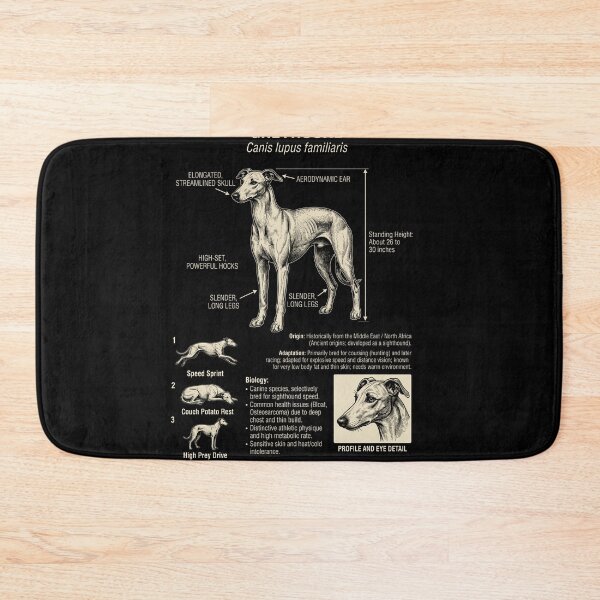 Item preview, Greyhound Scientific Anatomy Biology Dog Lover designed and sold by Kimberley King Art  King Art.