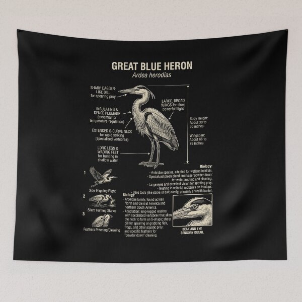 Item preview, Great Blue Heron Scientific Anatomy Ornithology Animal Lover designed and sold by Kimberley King Art  King Art.