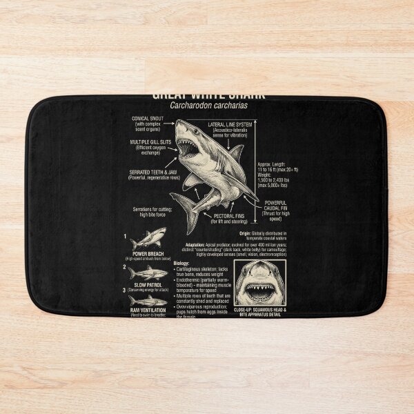 Item preview, Great White Shark Scientific Anatomy Biology Animal Lover designed and sold by Kimberley King Art  King Art.