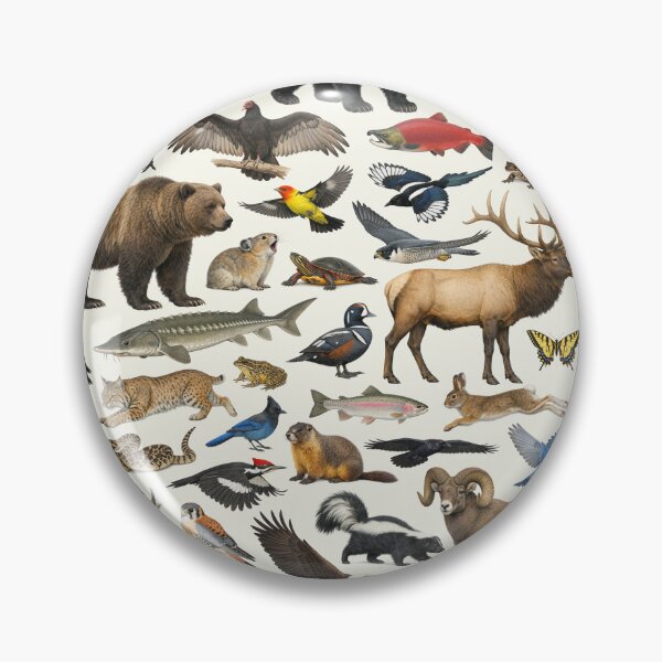 Item preview, Animals of Nebraska Retro Style Identification Chart designed and sold by kakarikihill.