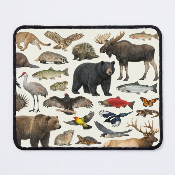 Item preview, Animals of Nebraska Retro Style Identification Chart designed and sold by kakarikihill.
