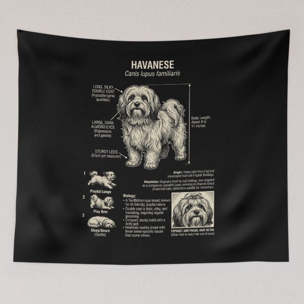 Item preview, Havanese Scientific Anatomy Biology Dog Lover designed and sold by Kimberley King Art  King Art.