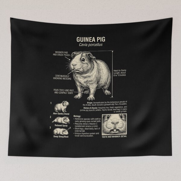 Item preview, Guinea Pig Scientific Anatomy Biology Animal Lover designed and sold by Kimberley King Art  King Art.