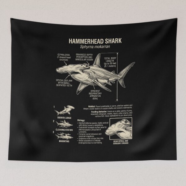 Item preview, Hammerhead Shark Scientific Anatomy Biology Animal Lover designed and sold by Kimberley King Art  King Art.