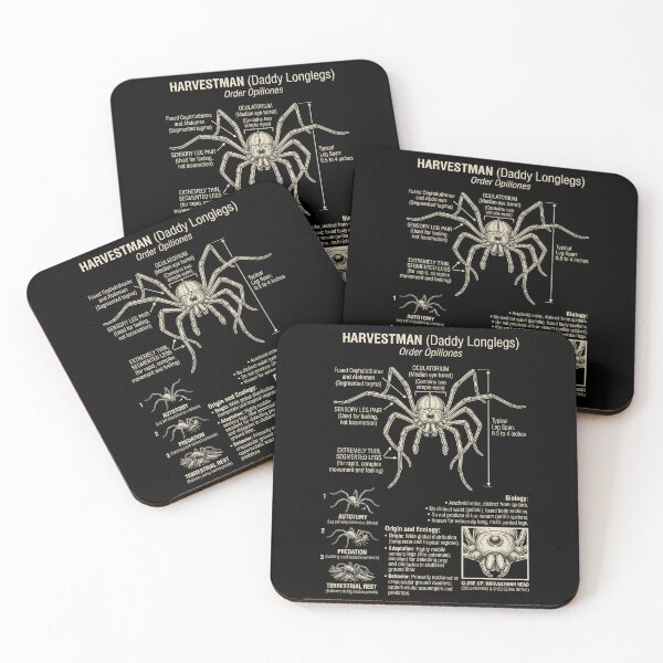 Item preview, Harvestman Scientific Anatomy Biology Animal Lover designed and sold by Kimberley King Art King Art.