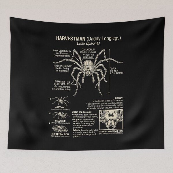 Item preview, Harvestman Scientific Anatomy Biology Animal Lover designed and sold by Kimberley King Art  King Art.