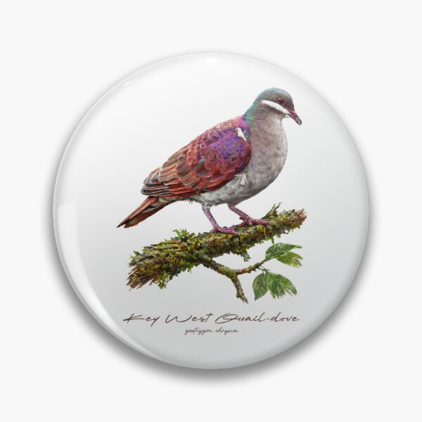 Item preview, Key West Quail-dove on Tree designed and sold by Takeda-art.