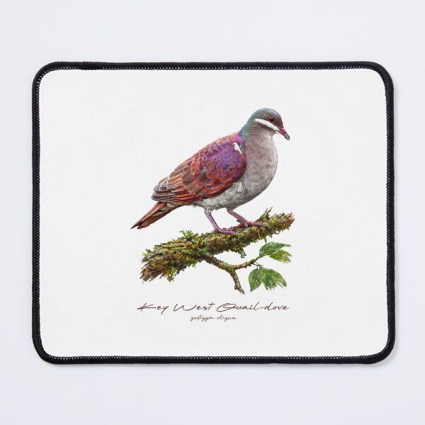 Item preview, Key West Quail-dove on Tree designed and sold by Takeda-art.