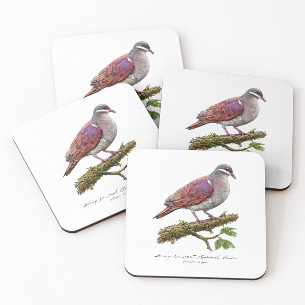 Item preview, Key West Quail-dove on Tree designed and sold by Takeda-art.