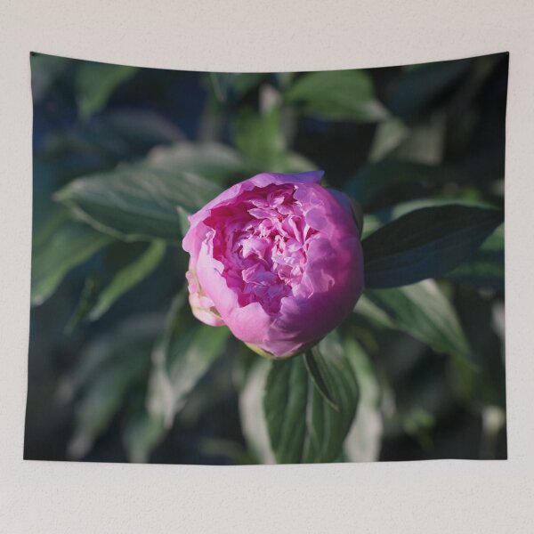 Item preview, Pink Peony Flower in Blue Shadows designed and sold by Georgia Mizuleva.