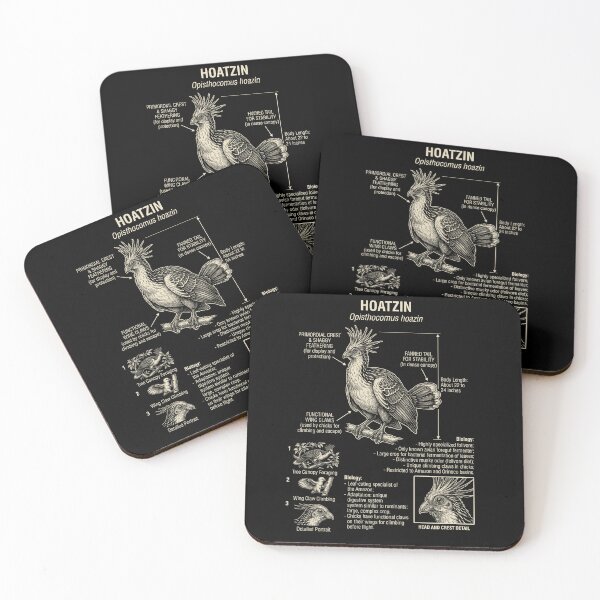 Item preview, Hoatzin Scientific Anatomy Ornithology Animal Lover designed and sold by Kimberley King Art  King Art.