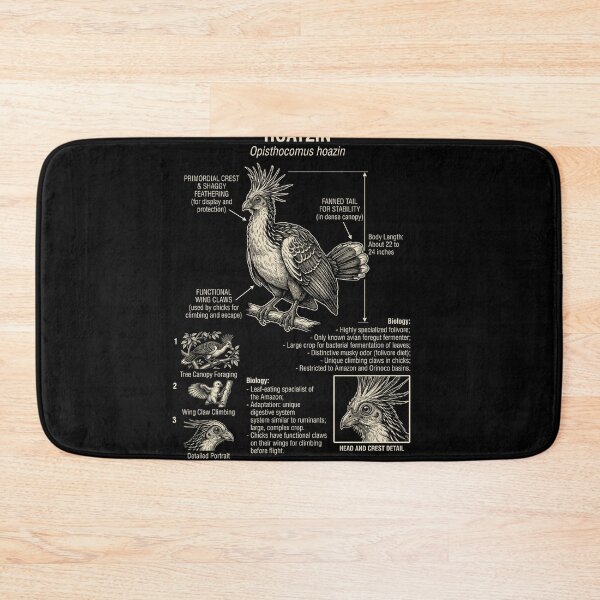 Item preview, Hoatzin Scientific Anatomy Ornithology Animal Lover designed and sold by Kimberley King Art  King Art.