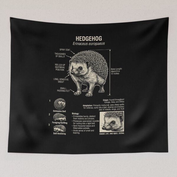 Item preview, Hedgehog Scientific Anatomy Biology Animal Lover designed and sold by Kimberley King Art  King Art.