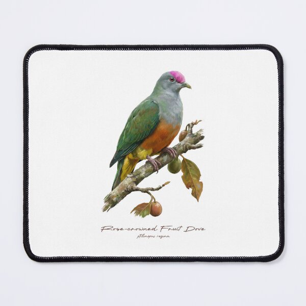 Item preview, Rose-crowned Fruit Dove on Rustic Tree designed and sold by Takeda-art.