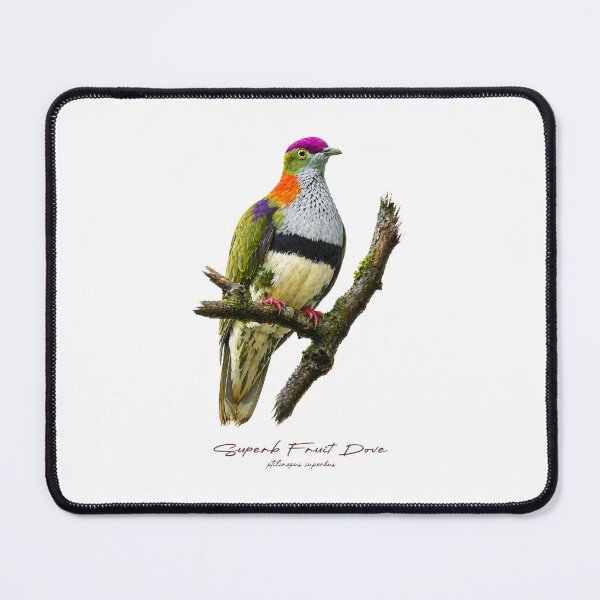 Item preview, Superb Fruit Dove on Mossy Branch designed and sold by Takeda-art.