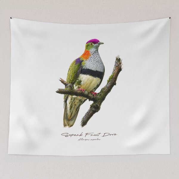 Item preview, Superb Fruit Dove on Mossy Branch designed and sold by Takeda-art.