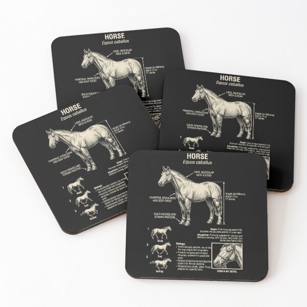 Item preview, Anatomía científica del caballo, biología, amante de los animales designed and sold by Kimberley King Art King Art.
