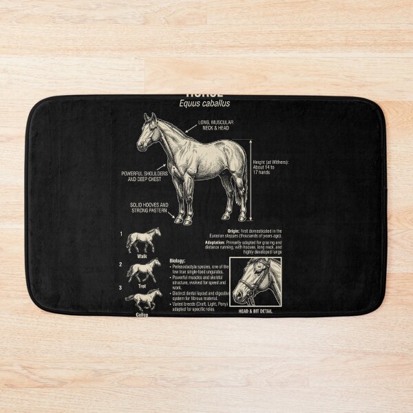 Item preview, Anatomía científica del caballo, biología, amante de los animales designed and sold by Kimberley King Art King Art.