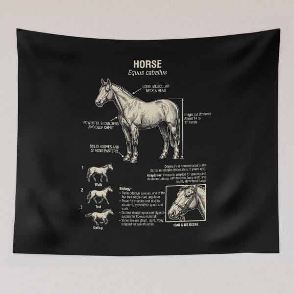 Item preview, Horse Scientific Anatomy Biology Animal Lover designed and sold by Kimberley King Art  King Art.