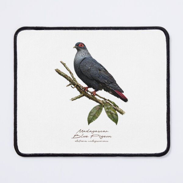 Item preview, Madagascar Blue Pigeon on Tree designed and sold by Takeda-art.