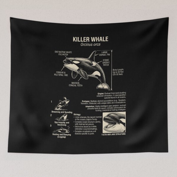 Item preview, Killer Whale Scientific Anatomy Biology Animal Lover designed and sold by Kimberley King Art  King Art.