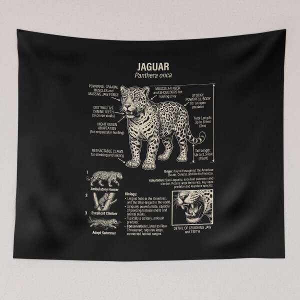 Item preview, Jaguar Scientific Anatomy Biology Animal Lover designed and sold by Kimberley King Art  King Art.