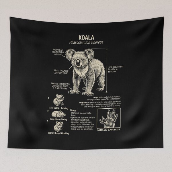 Item preview, Koala Scientific Anatomy Biology Animal Lover designed and sold by Kimberley King Art  King Art.