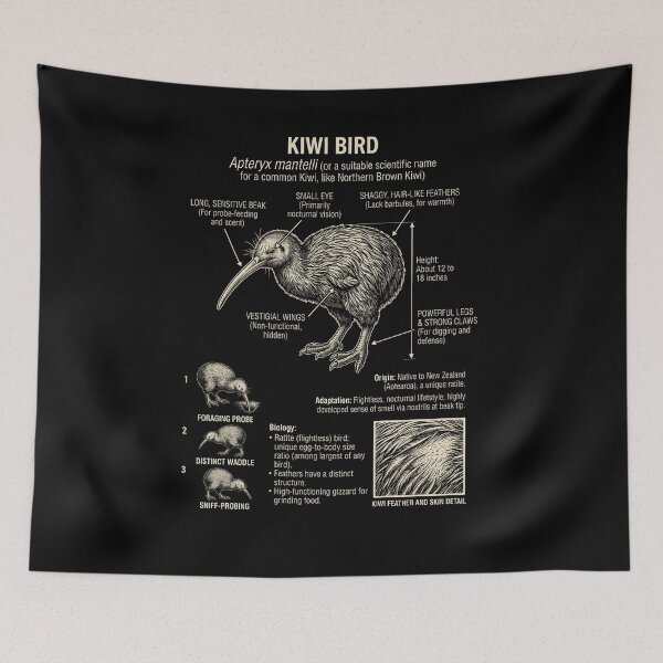 Item preview, Kiwi Bird Scientific Anatomy Ornithology Animal Lover designed and sold by Kimberley King Art  King Art.