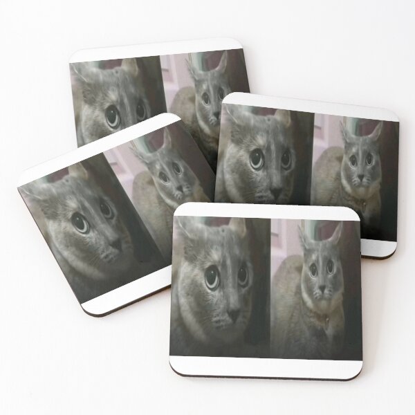 Item preview, confused fat cat meme designed and sold by cloudzer0000.