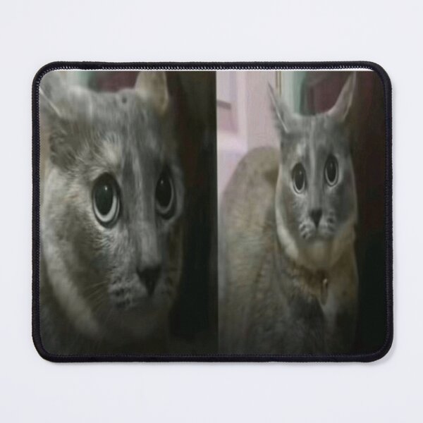 Item preview, confused fat cat meme designed and sold by cloudzer0000.