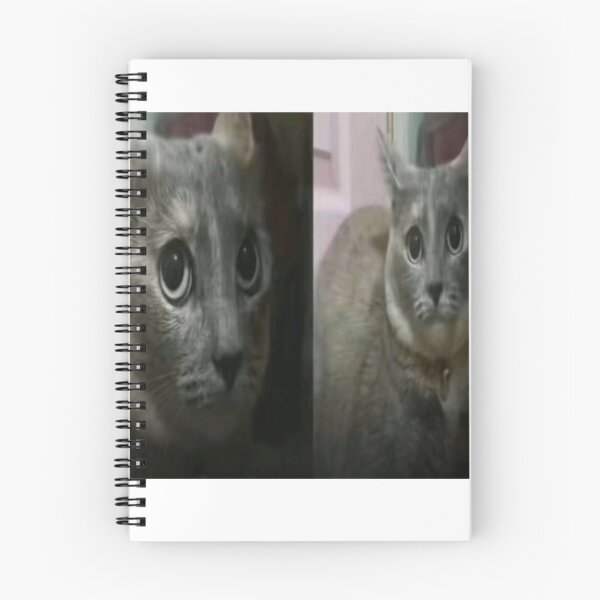Item preview, confused fat cat meme designed and sold by cloudzer0000.