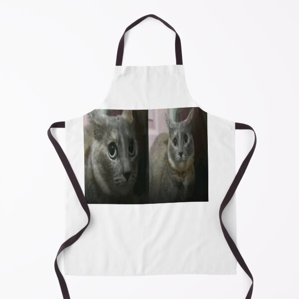 Item preview, confused fat cat meme designed and sold by cloudzer0000.