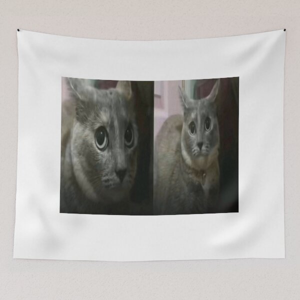 Item preview, confused fat cat meme designed and sold by cloudzer0000.