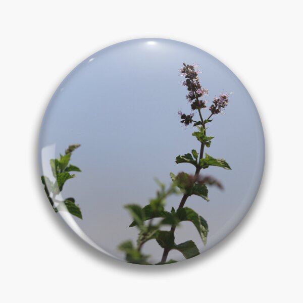 Item preview, Blooming mint flower under the blue sky designed and sold by zuhairiphotos.