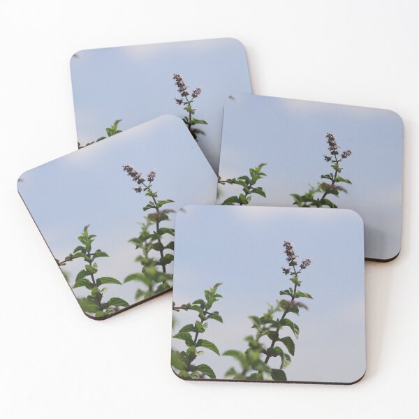 Item preview, Blooming mint flower under the blue sky designed and sold by zuhairiphotos.